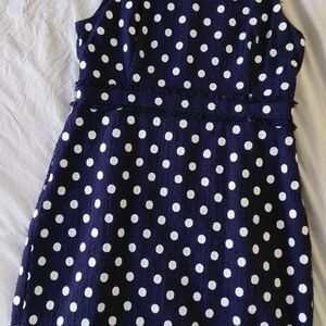 J. Crew Navy and White Polka Dot Dress